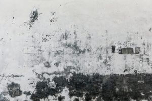 רטיבות בבית