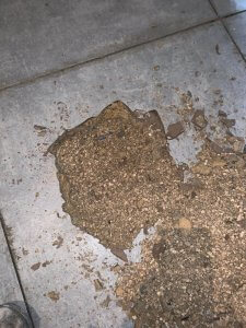 הצפות בתל אביב