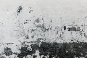 כל מה שרציתם לדעת על דרכים למניעת רטיבות קפילארית